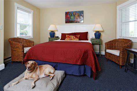 motels near me pet friendly